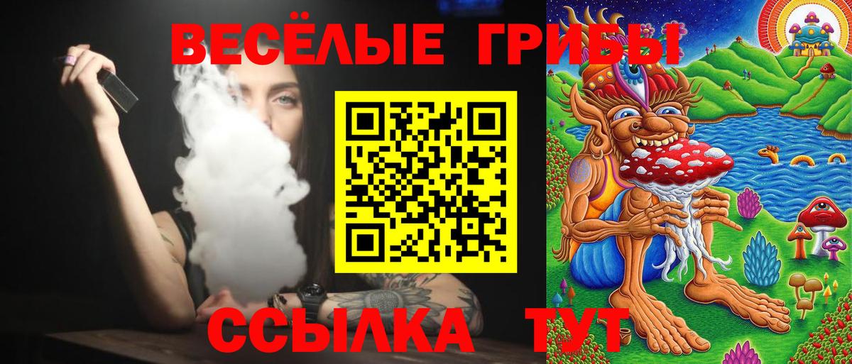 Псилоцибиновые грибы Psilocybe Шатура