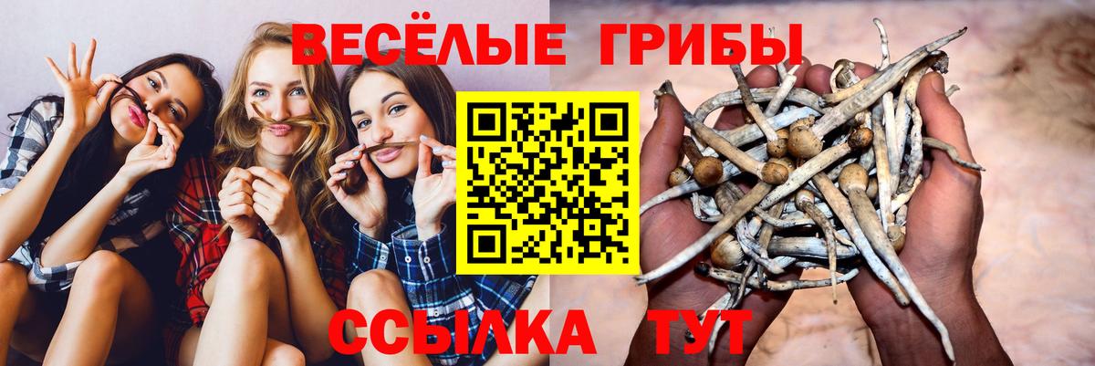 ГАШ  Конопля  Лсд 25  Шатура  Меф кристаллы  Кокаин  Вход с VPN  MDMA  МЕТАДОН 